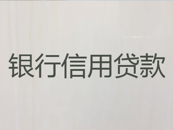 枣阳市本地贷款中介公司